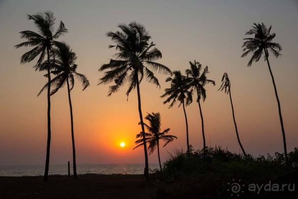 Отдых в Гоа
