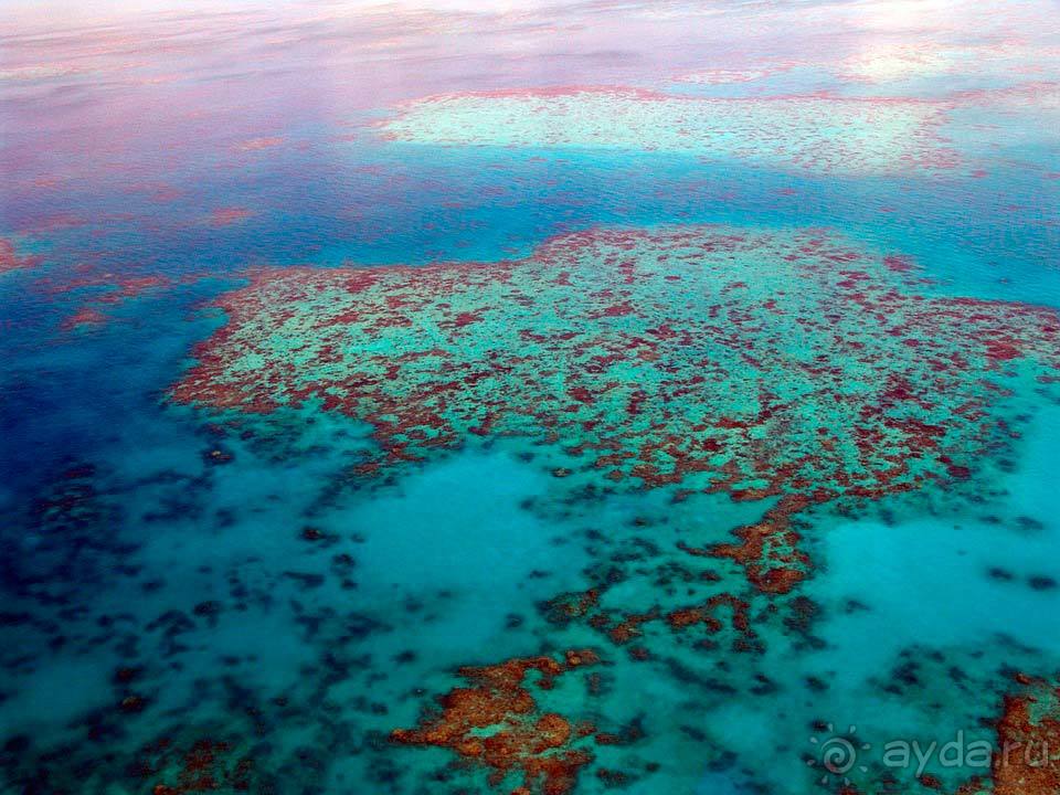 Отдых на Барьерном Рифе
