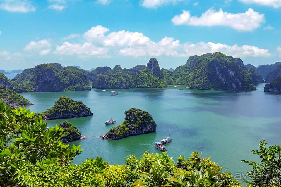 Отдых в Халонге