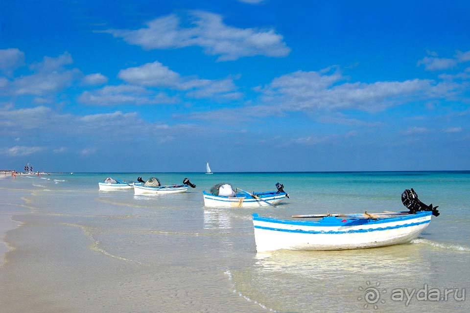 Отдых в Хаммамете