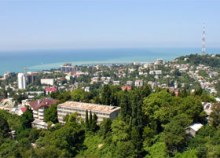 Хоста