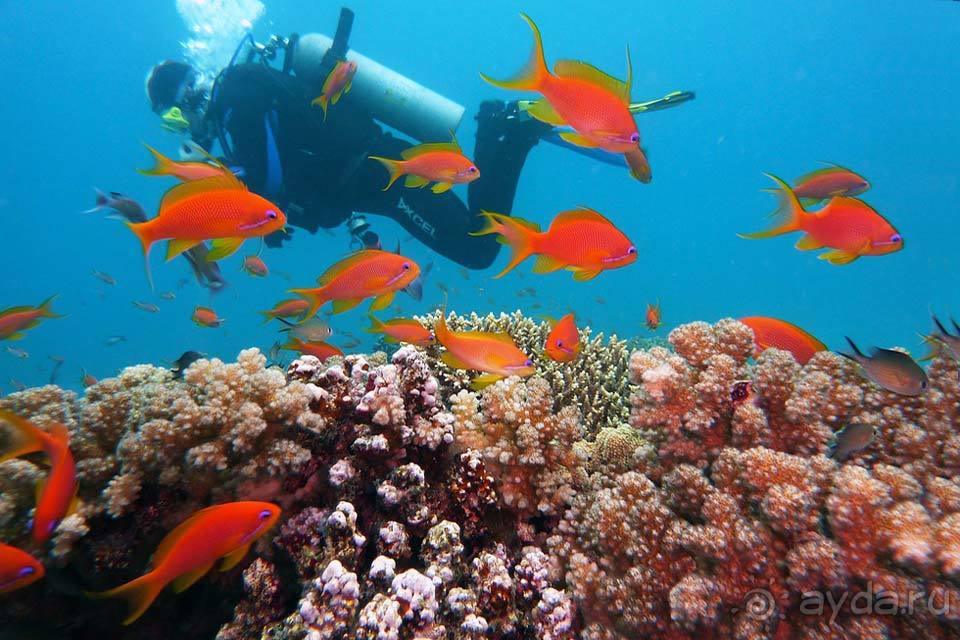 Отдых в Хургаде