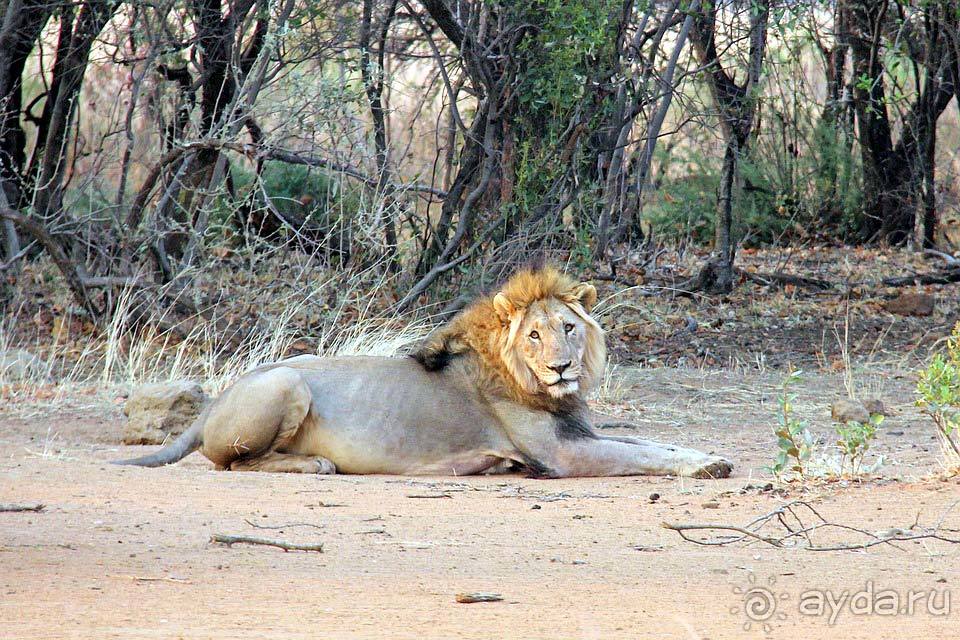 Отдых в Йоханнесбурге