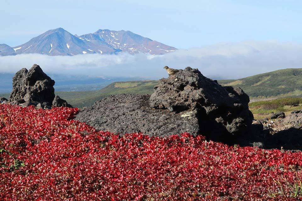 Отдых на Камчатке