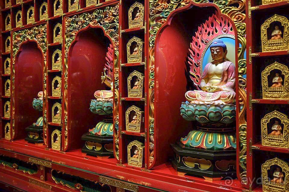 Отдых в Канди