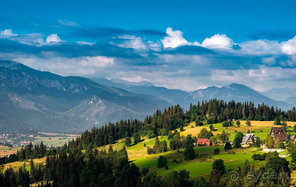 Отдых в Карпатах