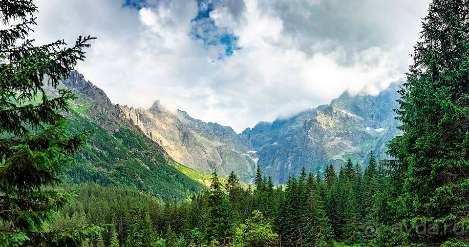 Отдых в Карпатах