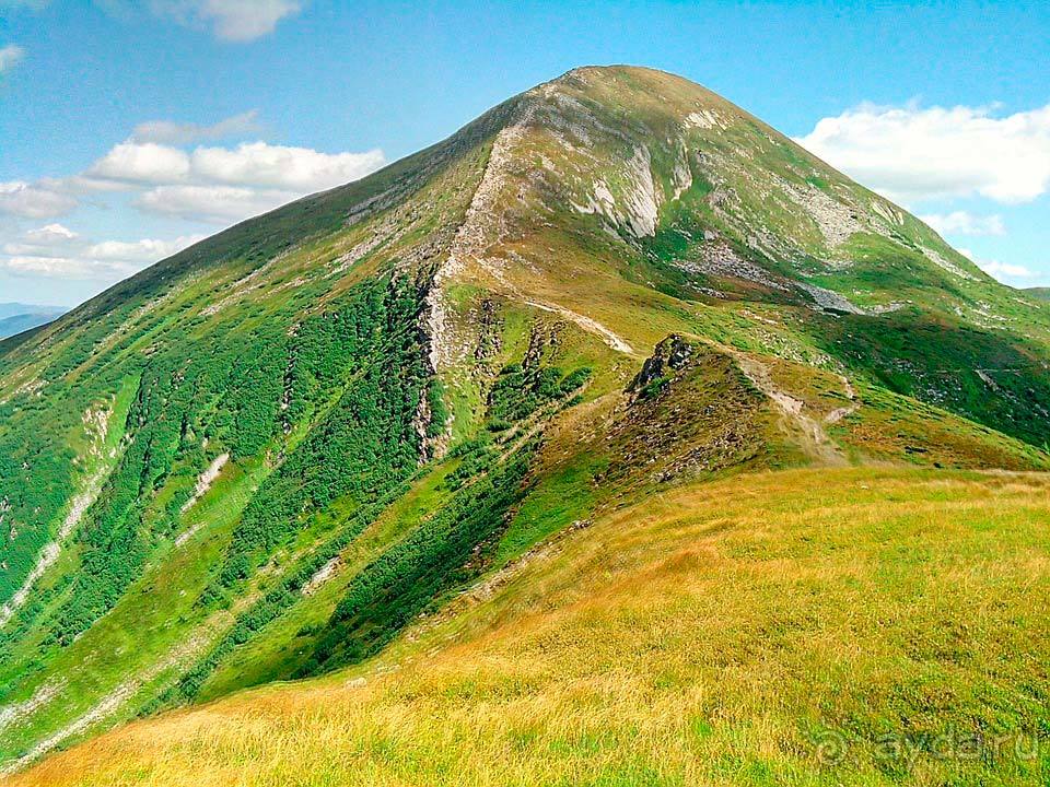 Отдых в Карпатах