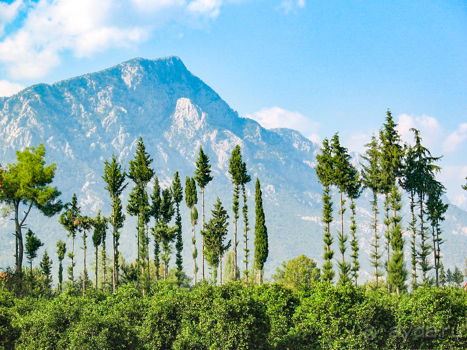 Отдых в Кемере