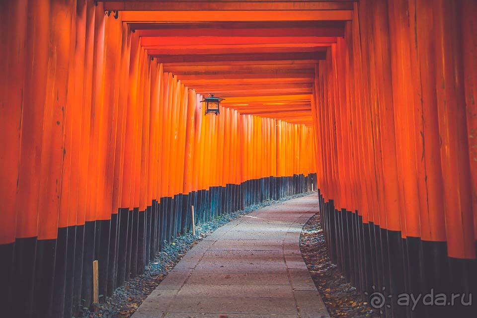Отдых в Киото