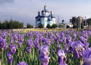 Отдых в Кривом Роге