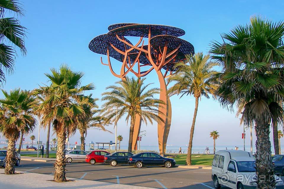 Отдых в Ла Пинеде