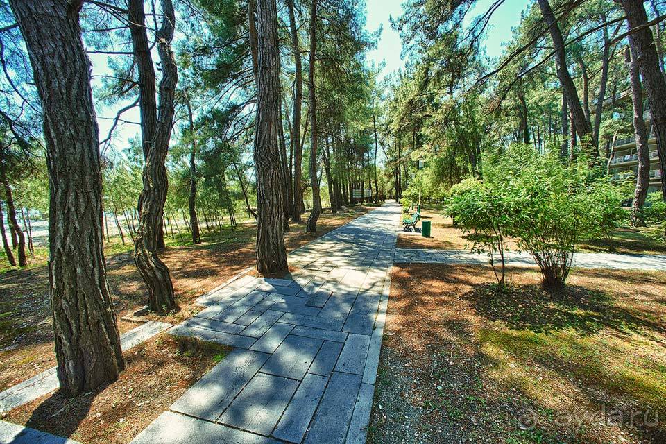 Отдых в Лдзаа