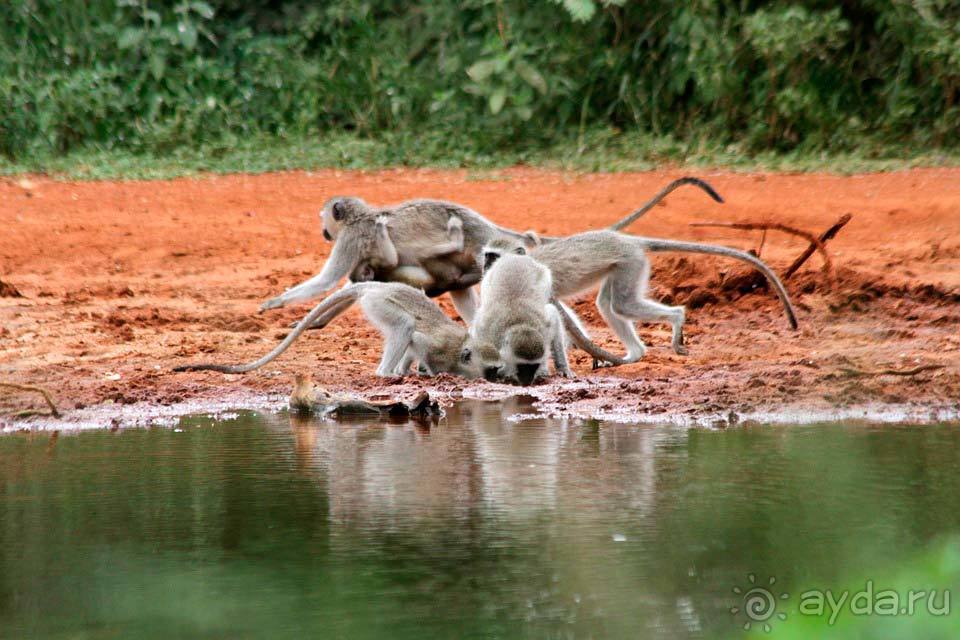 Отдых в Лимпопо