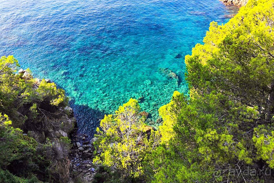 Отдых в Ллорет де Маре Испания, цены на туры в Ллорет де Мар 2025