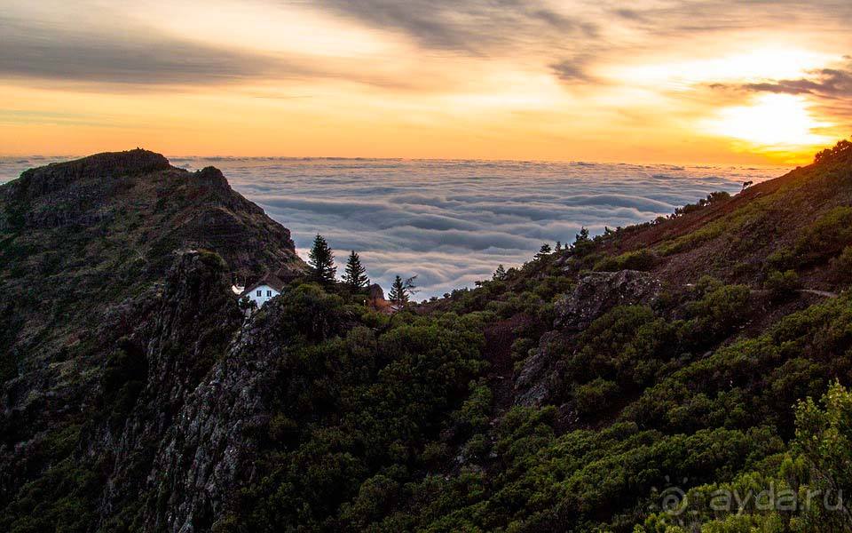 Отдых на Мадейре