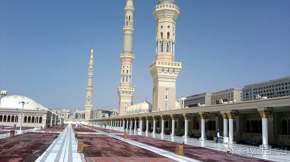 Отдых в Мадине