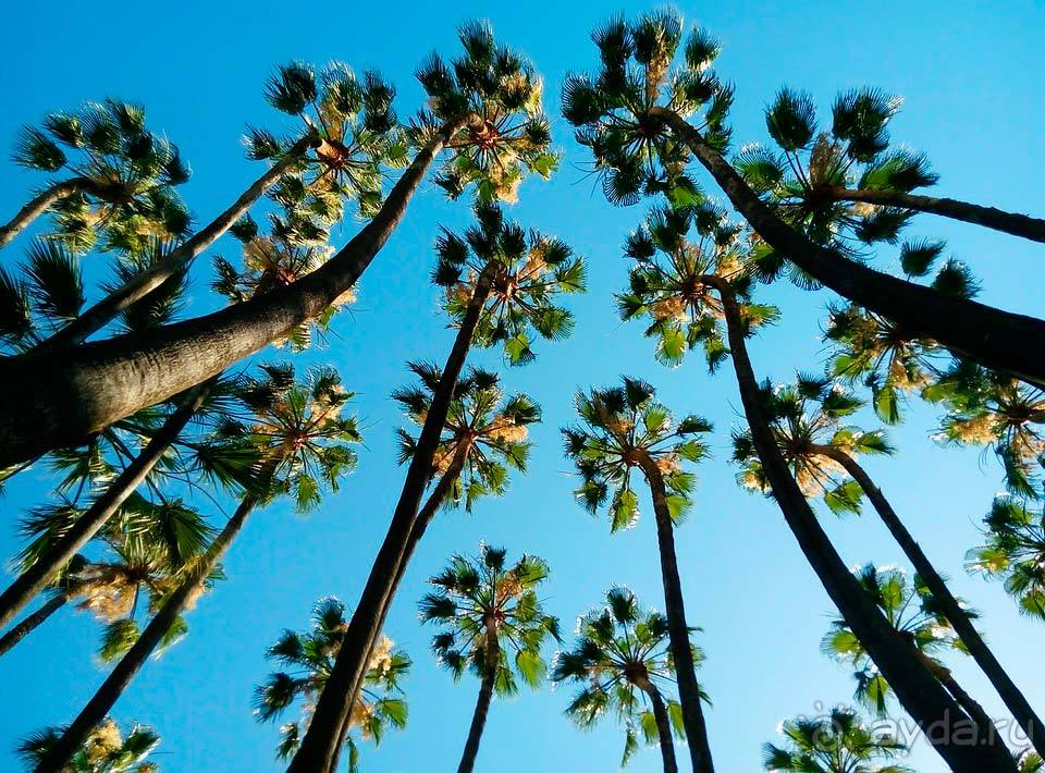 Отдых в Малаге