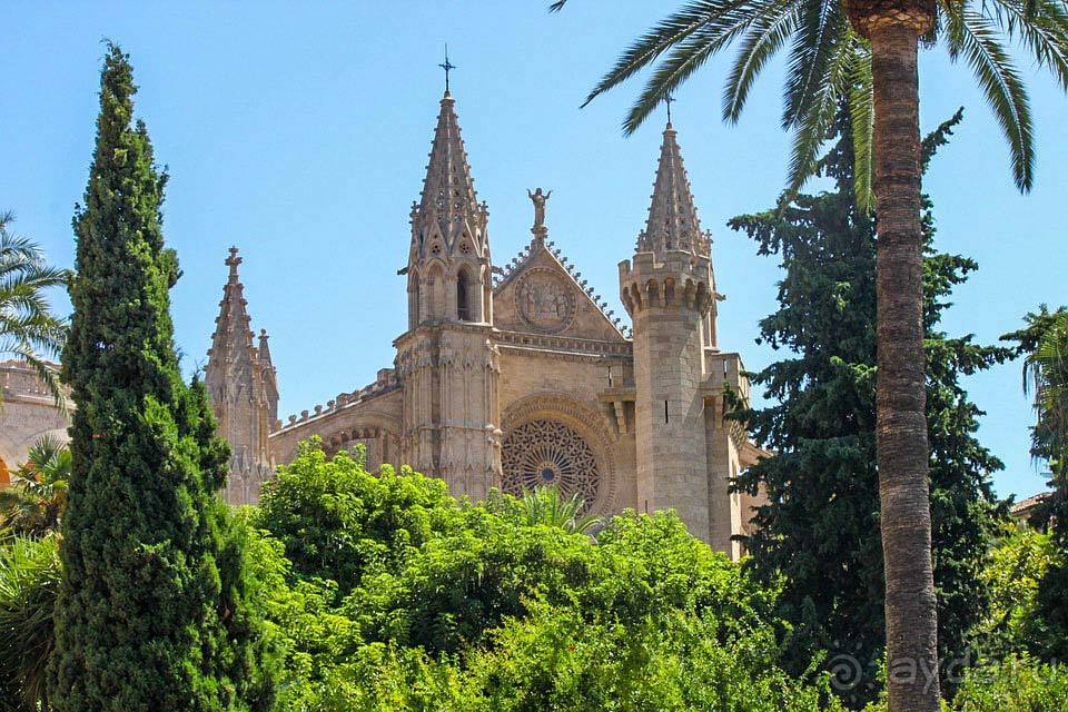 Отдых на Майорке