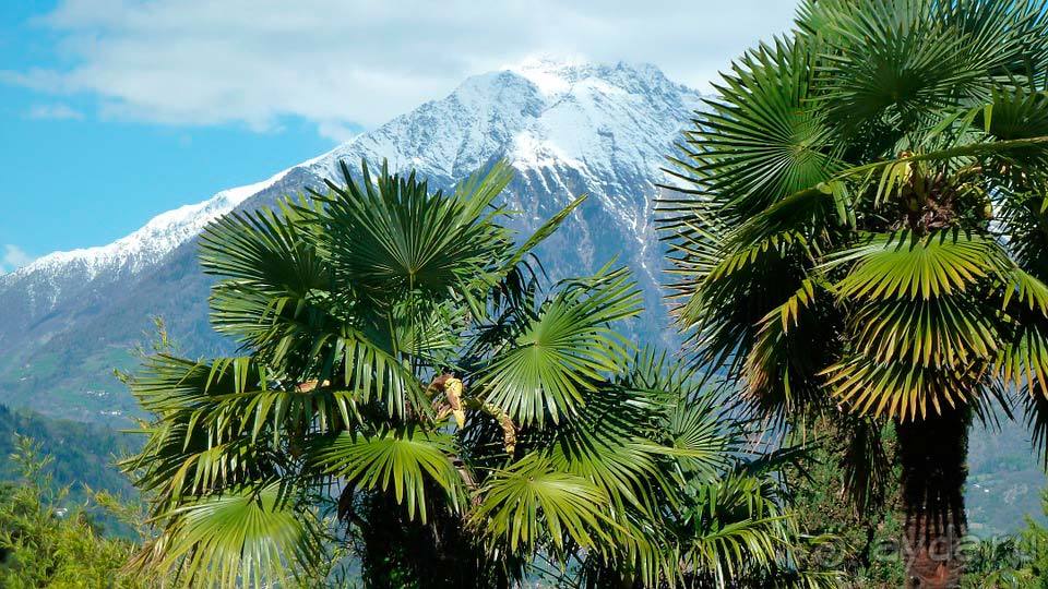 Отдых в Мерано