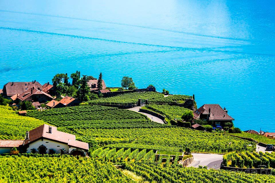 Отдых в Монтрё