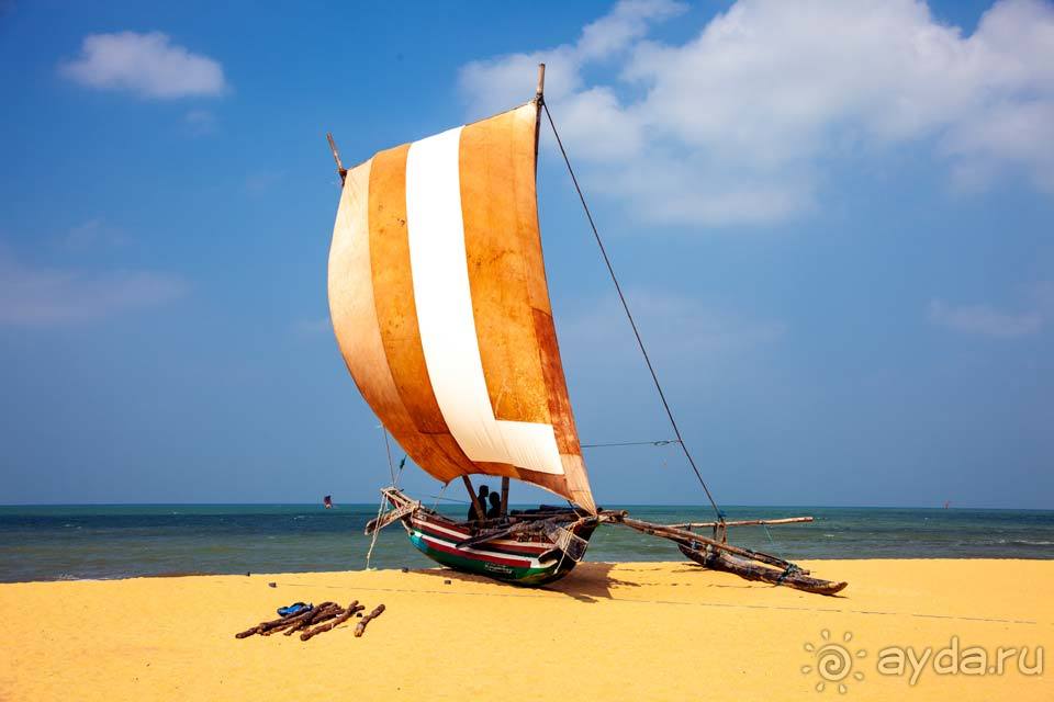 Отдых в Негомбо