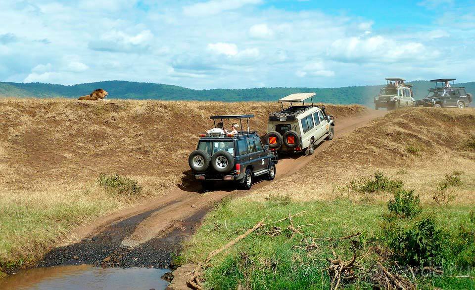 Нгоронгоро