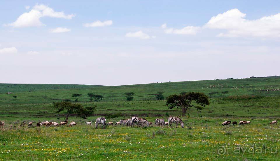 Отдых в Нгоронгоро