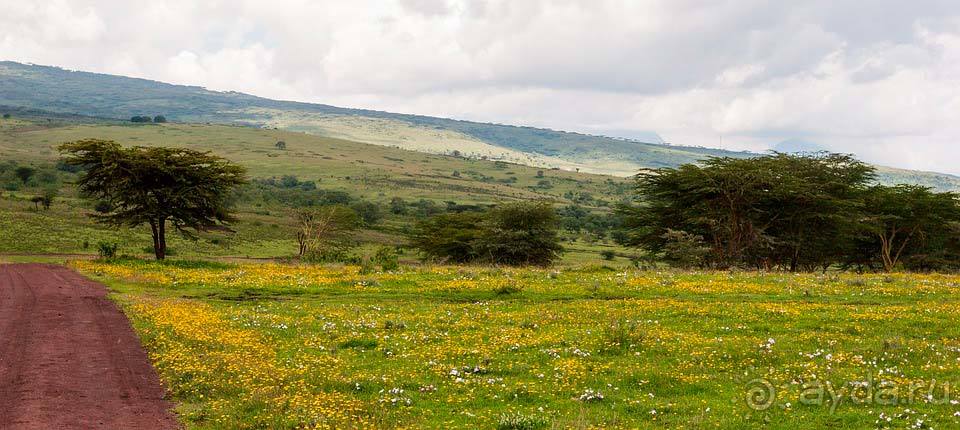 Отдых в Нгоронгоро