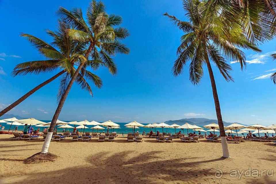 Отдых в Нячанге