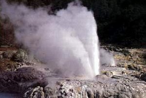 Отдых на Северном Острове