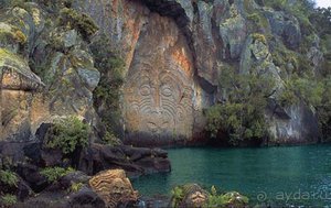 Отдых на Северном Острове