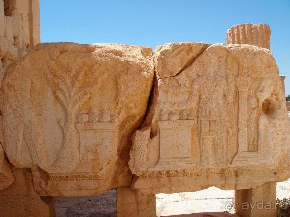 Отдых в Пальмире