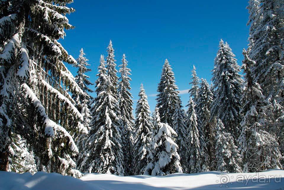 Отдых в Пампорово