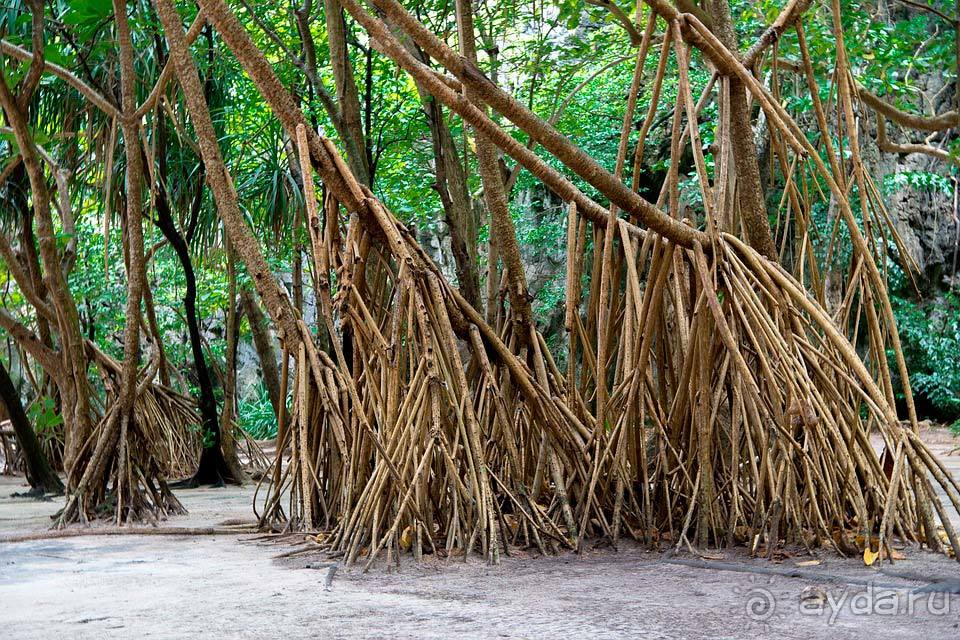 Отдых на Пхи-Пхи