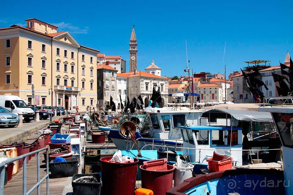 Отдых в Пиране