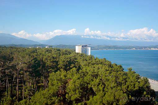 Отдых в Пицунде