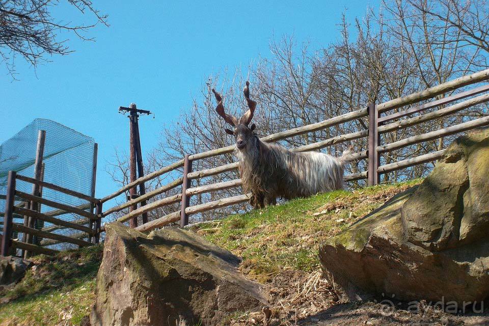 Отдых в Город Пльзень