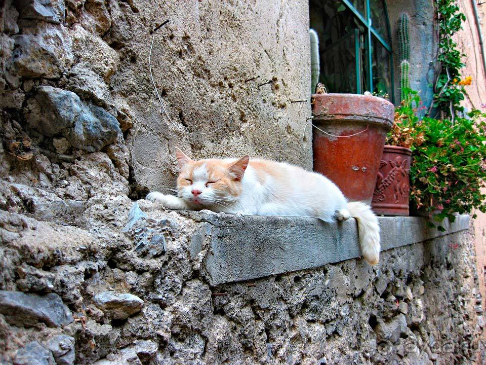 Отдых в Позитано