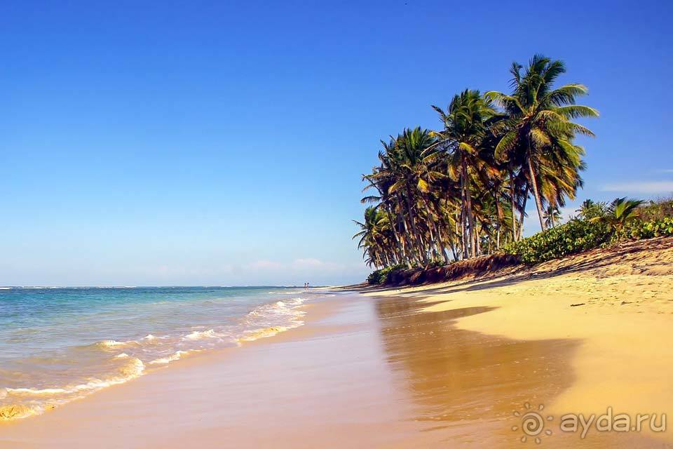 Отдых в Пунта Кане