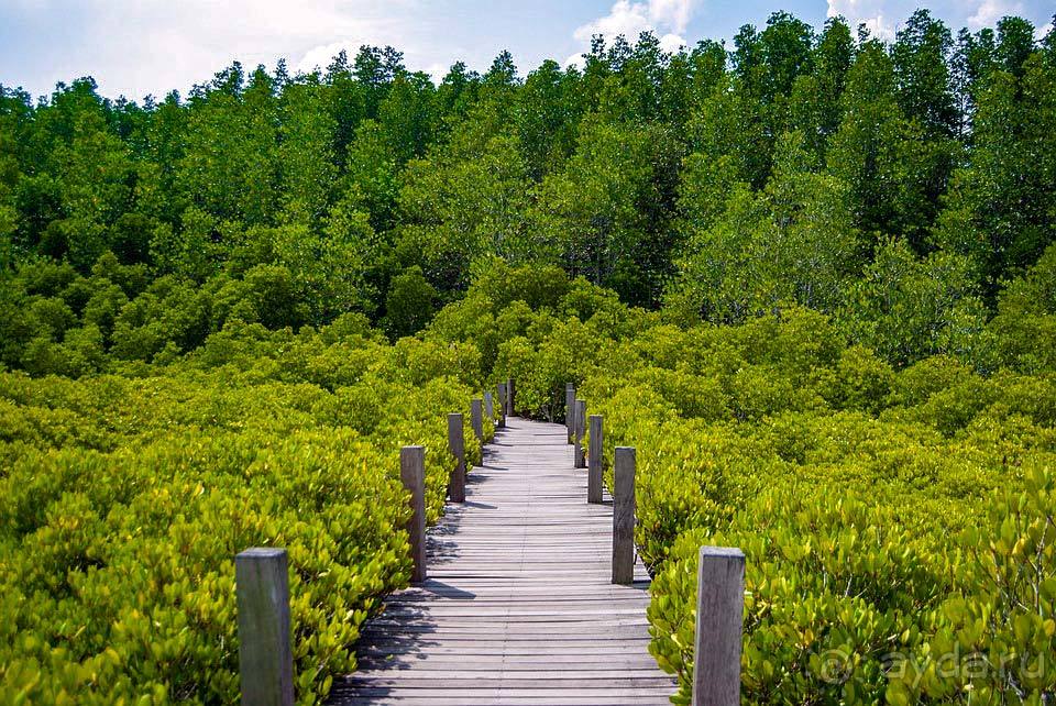 Отдых в Районге