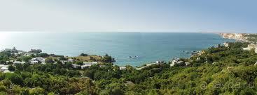 Отдых в Русалке