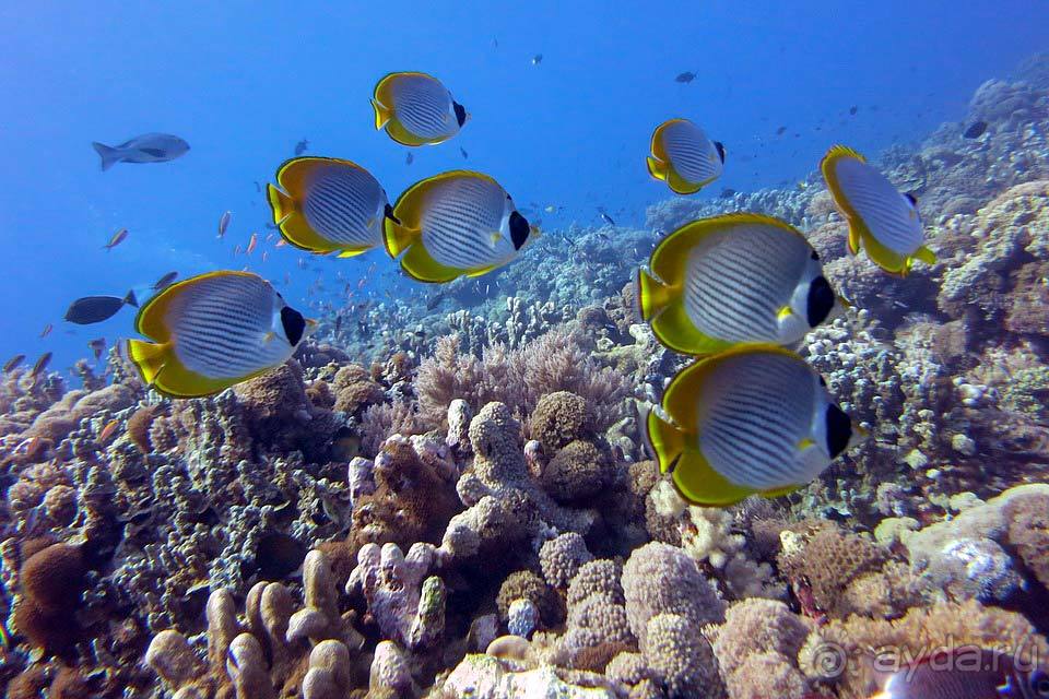 Отдых в Сабахе