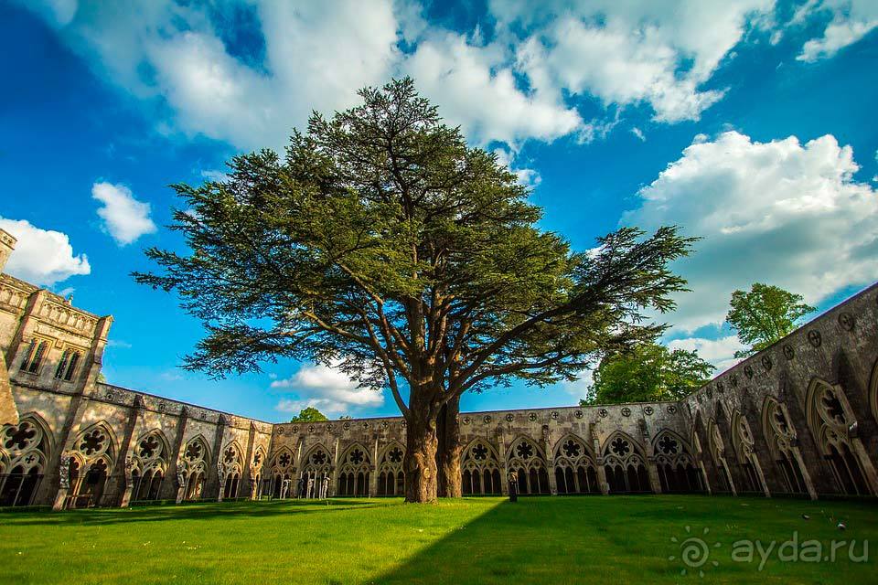 Отдых в Солсбери