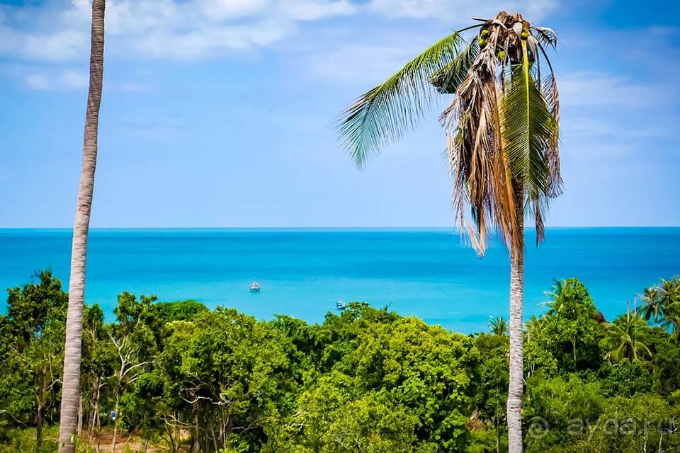 Отдых на Самуи