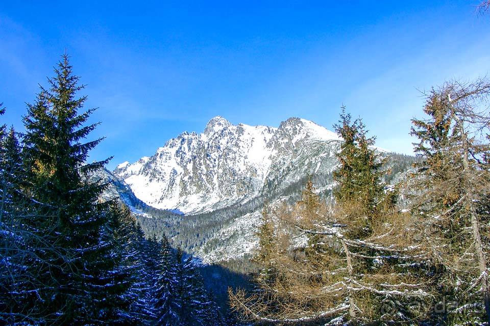 Отдых в Смоковеце