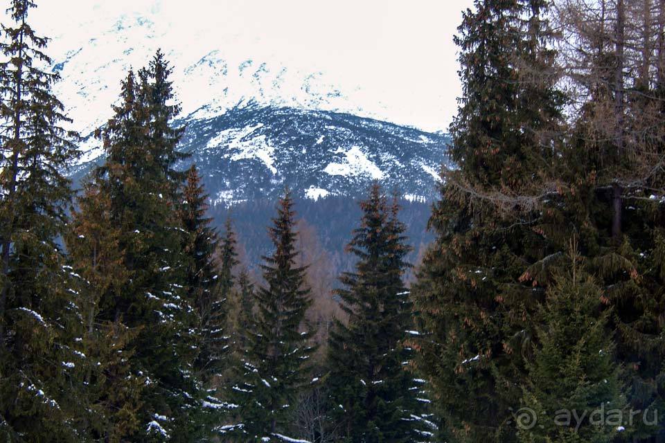 Отдых в Смоковеце