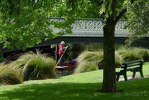 Отдых на Южном Острове