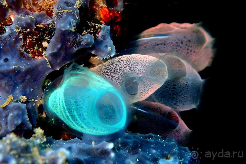 Отдых в Сулавеси