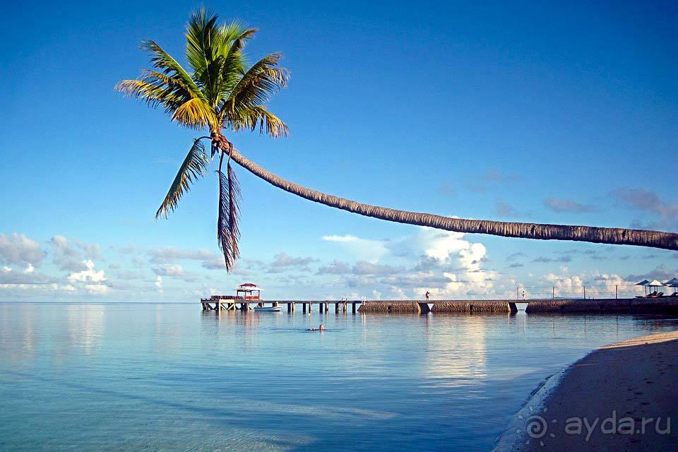 Отдых в Сулавеси